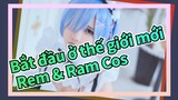 [Bắt đầu ở thế giới mới / Cosplay] Rem & Ram dành cho bạn