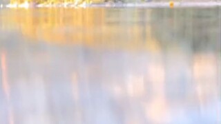 You Can't Click this.