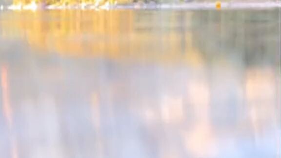 You Can't Click this.