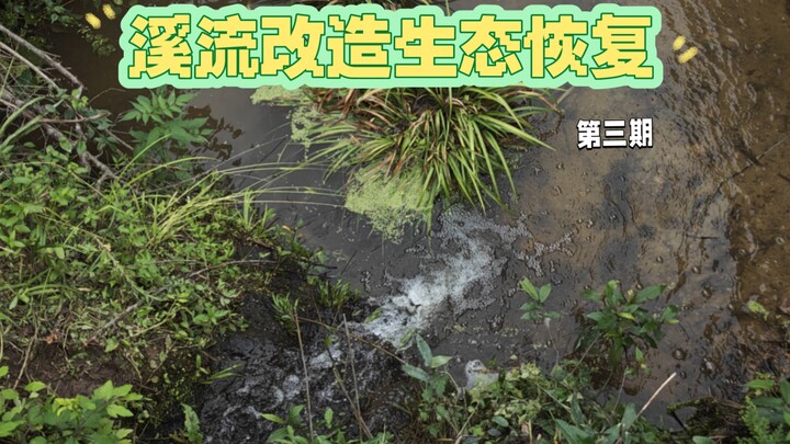 مشروع المرحلة الثالثة لترميم السد: تحويل المصرف الآسن إلى ملاذ رخامي للشِّعْرِيَّات في الجدول!