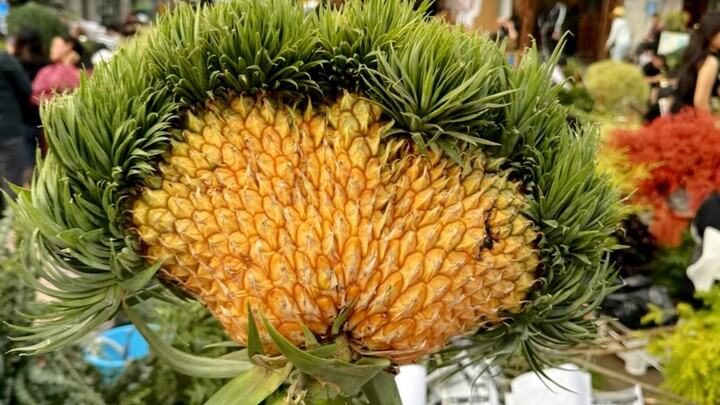 Take you to see some of the weirdest floral materials at the flower market