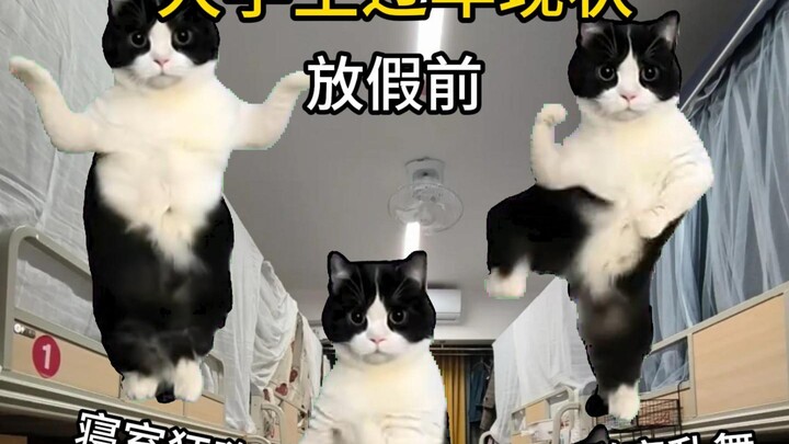 College Students’ Lunar New Year Reality