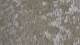 Winnipeg Snow - 11/26/2025