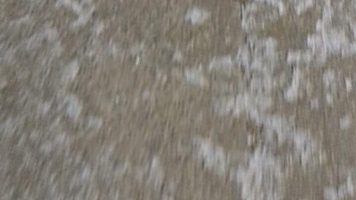 Winnipeg Snow - 11/26/2025