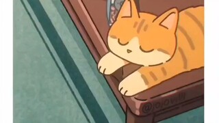 Kucing lucu dibagikan untuk kamu yang menyenangkan