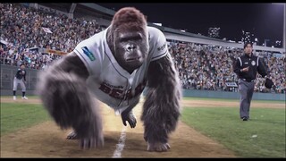 Gorilla Becomes World's 1st Baseball Animal Player