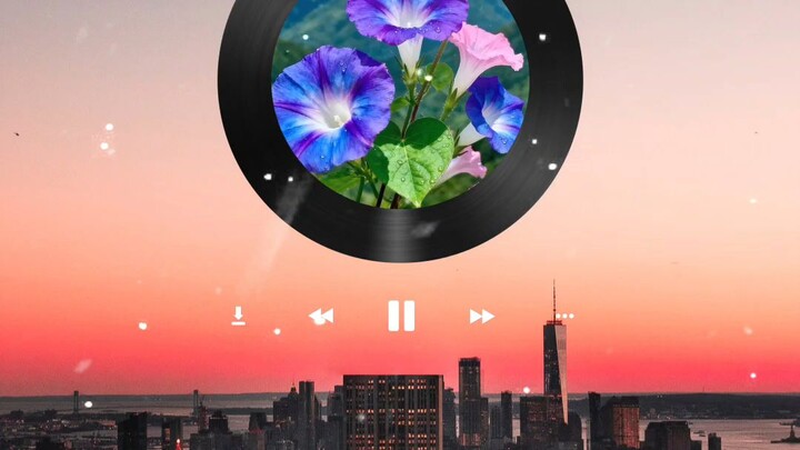 flowers 🌺🌺