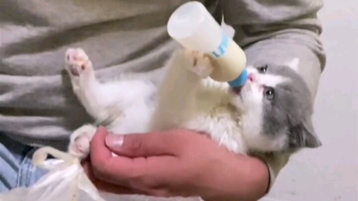 Aku ingin minum susu, aku ingin minum susu
