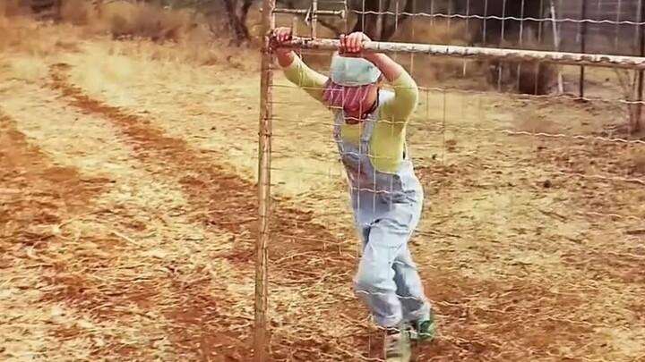 Boy straps a giant spring across barbed wire, then pulls with all his might to slam the steel gate s