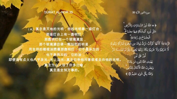 allah noor alsmawat translate in Chinese