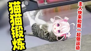 猫猫用力了也是会运动的！！！