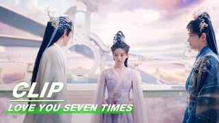 A Wonderful Experience | Love You Seven Times | 七时吉祥 | iQIYI