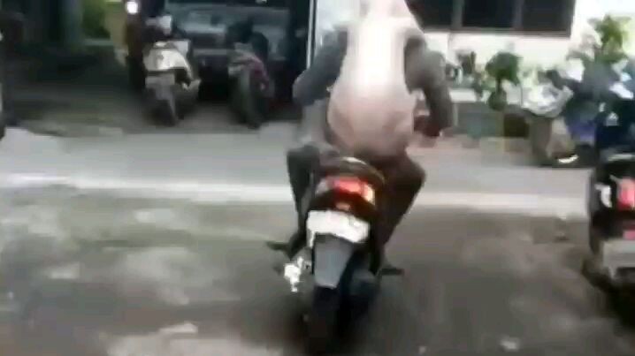 Người yêu của ai đây