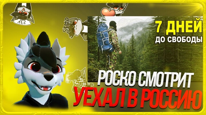 🐺 Роско смотрит Volkmix Bushcraft Побег из Украины в Россию Предлагали работать в ТЦК Переплыл Тису