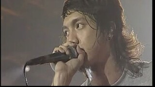 กำแพง POTATO (LIVE VERSION SEED LIVE CONCERT SPICY POTATO ดุ เด็ด เผ็ด มันส์)