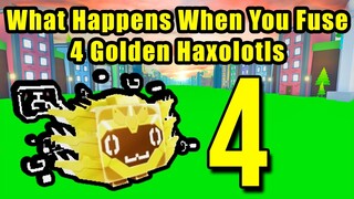 What Happens When You Fuse 4 Golden Haxolotl in Pet Simulator X