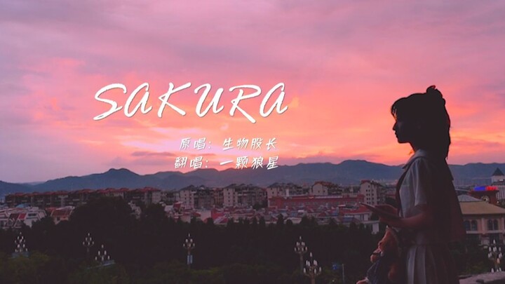"Sakura" giọng nữ thanh tao giải thích có hồn! Lần này không có lúa mì trên sân thượng