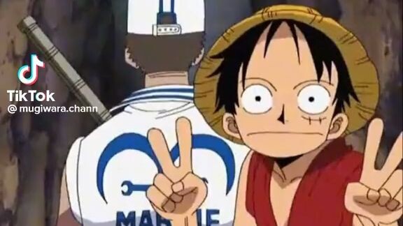 Luffy funny moments..