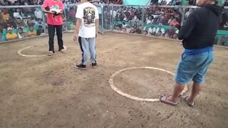 3 Sisters GF Random Fights