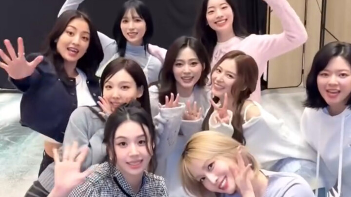 兔宝们的上海之恋cha来啦