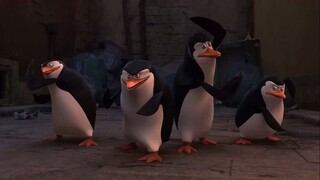 เพนกวินจอมป่วน ก๊วนมาดากัสการ์ Penguins of Madagascar พากย์ไทย