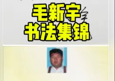 ประมวลผลงานศิลปะการเขียนพู่กันของพลเอกเหมาซินอวี่