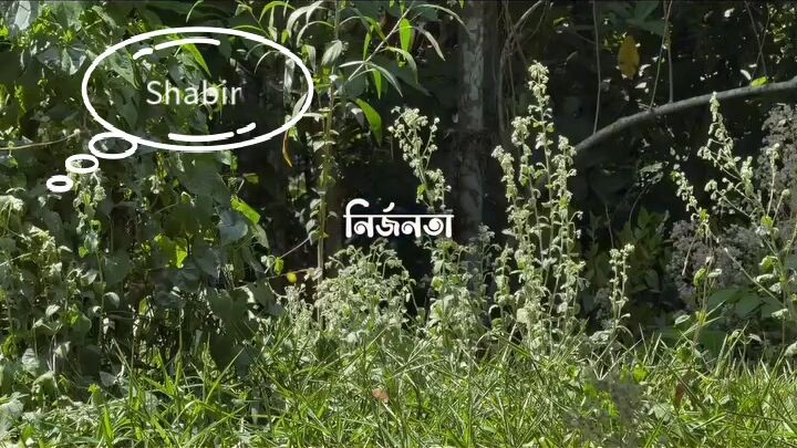 অতঃপর মানুষ মূলত একা 🙂
