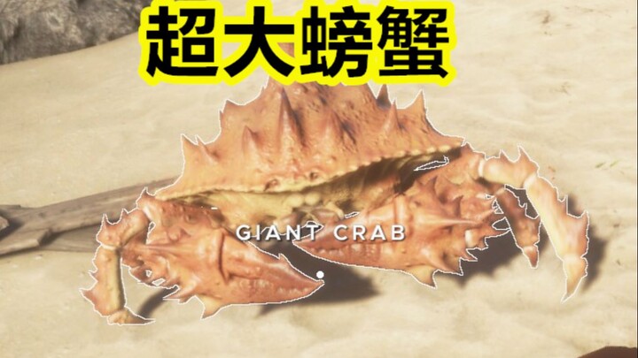 Wah! Kepiting sebesar ini cukup buat aku makan seharian! [Survival di Pulau Terpencil] Episode 1