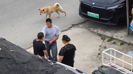 Chó con: Anh có biết một cái bao cao su to đã gây cho tôi tổn thương lớn đến mức nào không?