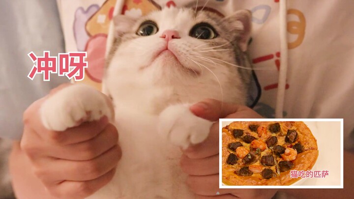 Nửa đêm khuya, cô mèo kêu meo meo khắp hành lang nhà, chủ nhân liền làm pizza cho cô ấy ăn!