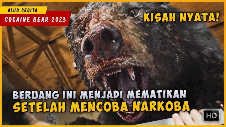 Tidak Ada Yang Bisa Menghentikan BERUANG Ini Setelah Kecandauan OBAT TERLARANG