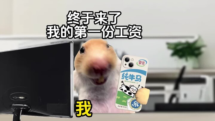 Khi thế hệ 00 lần đầu tiên nhận lương #Tiểu kịch meme về mèo #Thế hệ 00 #Nội dung quá chân thực #Hài