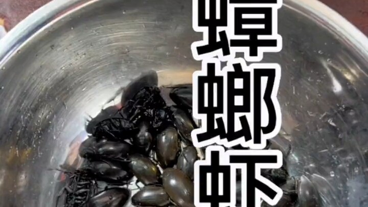 Water Cockroach Shrimp Porridge #Nourishing & Health-Boosting