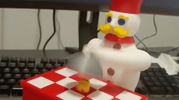 My cat can't do a backflip, but my chicken can make KFC.