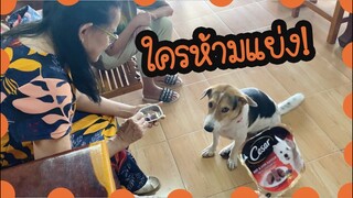โลกของแสนดี ตอน คุณยายป้อนขนมเด็กดื้อ