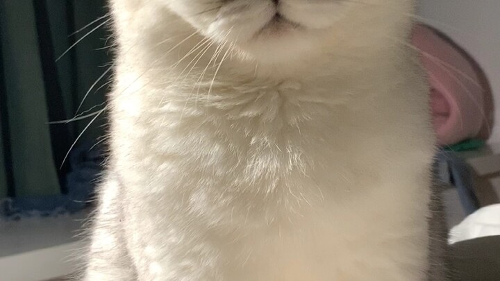 Guru Bai: Lapar… Lapar nih… Lapar banget nih… Aku lapar, lho!