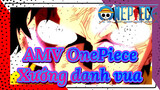 [AMV One Piece] - Chờ ngày cậu trở thành Vua Hải Tặc