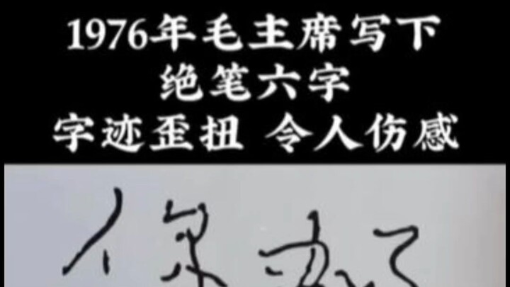 Do you comrades know what the last words Chairman Mao wrote were?