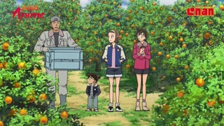 thám tử lừng danh Conan tập 979 mặt trời lặn trên nông trại cam thuyết minh