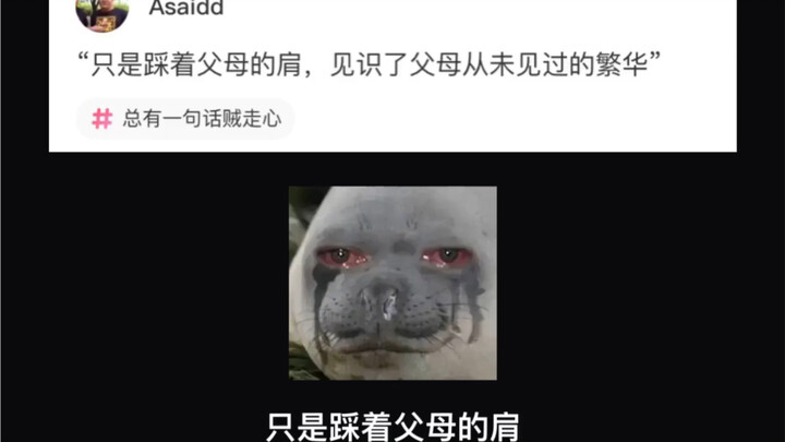 بمجرد الوقوف على أكتاف والديّ، شهدت الرخاء الذي لم يره والديّ أبدًا.