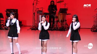 IVE I AM Band LIVE Concert