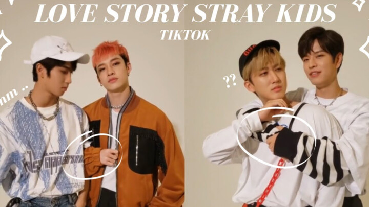【Stray Kids】Tantangan TikTok Bagian 3～