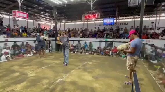 sabong nga sa bayan silang