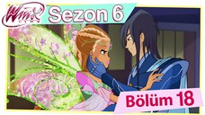 Winx Club - Sezon 6 Bölüm 18 - Sihirli Totem