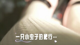 体验成为一只努力爬行的小虫子