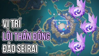 Tất Cả Vị Trí LÔI THẦN ĐỒNG của Đảo SEIRAI Video Tâm Huyết Cho Mn