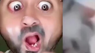 Tidak ada yang bisa selamat