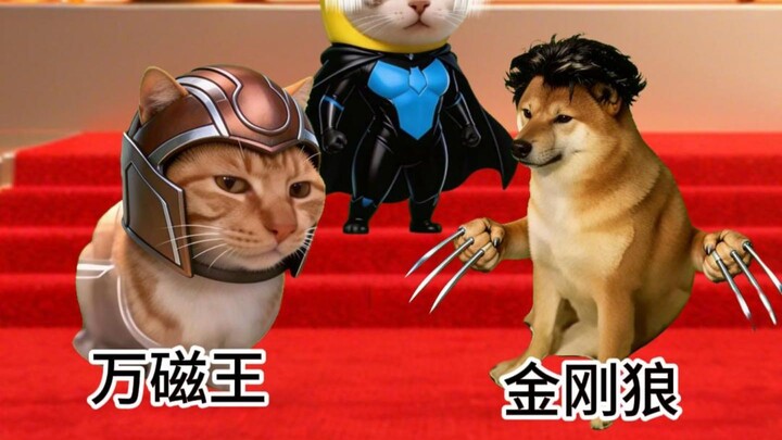 Nếu câu chuyện của X-Men diễn ra ở nước ta