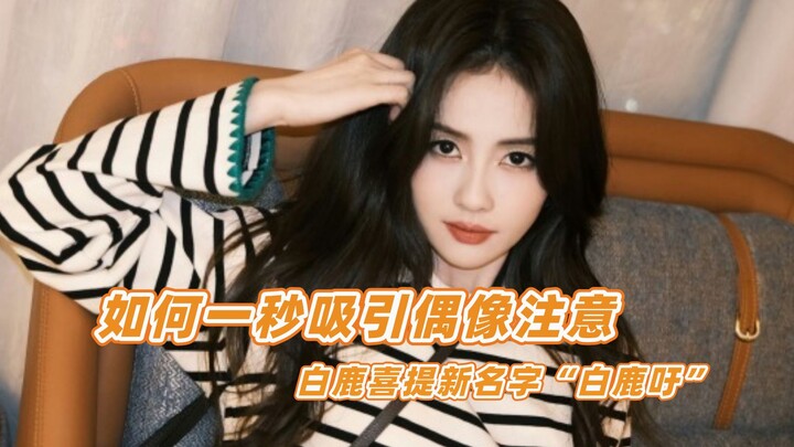 如何一秒吸引偶像注意，白鹿喜提新名字“白鹿吁”