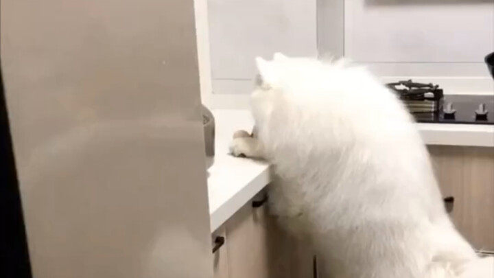 I’ll admit I did it on purpose—but honestly, how could they resist?